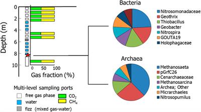 Ultrafine Magnetic Particles: A DIET-Proxy in Organic Rich Sediments?